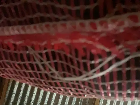 AlexaWarner online show from March 30, 9:05 pm