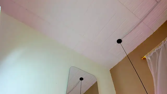 Brenda lot online show from November 23, 6:04 am