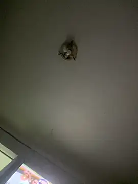 Isabelaa  online show from March 28, 3:30 am