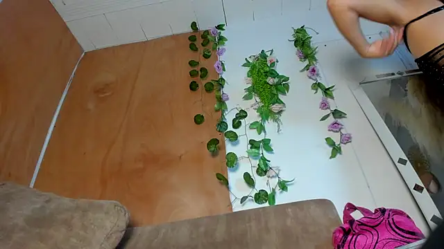 Tiffany deluxe online show from February 13, 2:24 pm