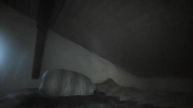 Cheryl F online show from October 23, 9:57 am