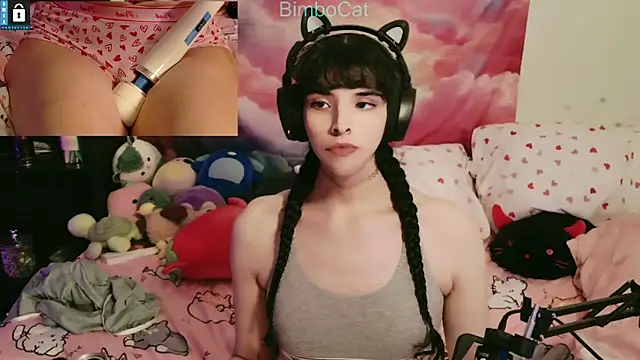 BimboCat online show from November 1, 12:30 am