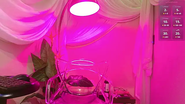 Shelly bat online show from February 15, 3:11 pm