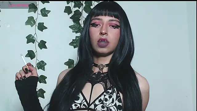 Oasis fairy  online show from April 22, 4:19 am