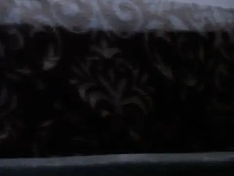 Trans big 16 online show from January 16, 1:03 am