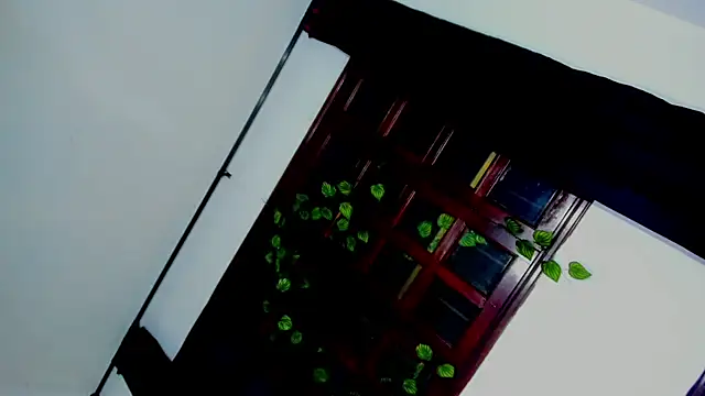 laaura dolll online show from April 6, 5:30 am