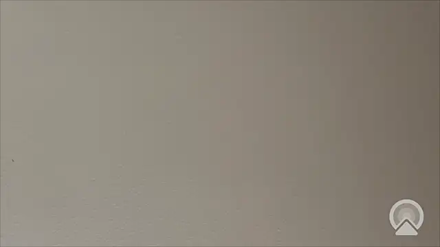 Shynesse21 online show from March 26, 11:36 am