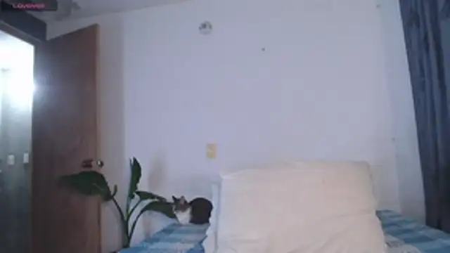 valen thompson online show from April 22, 3:46 am