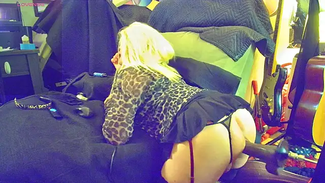 DoMeDoggyDiana online show from April 6, 6:47 am