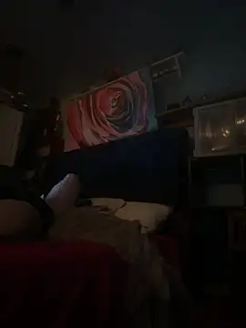 AshtonChicken online show from February 20, 6:19 am