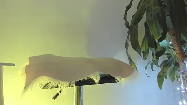 Coral Princex online show from February 20, 6:19 am