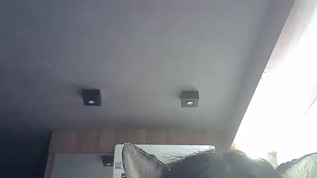 Skinny-Kitten online show from March 29, 8:59 am